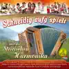 Various Artists - Schneidig aufg'spielt mit der steirischen Harmonika